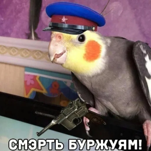 Стикер из набора Буквы кончились для Телеграм: Статические 🔫