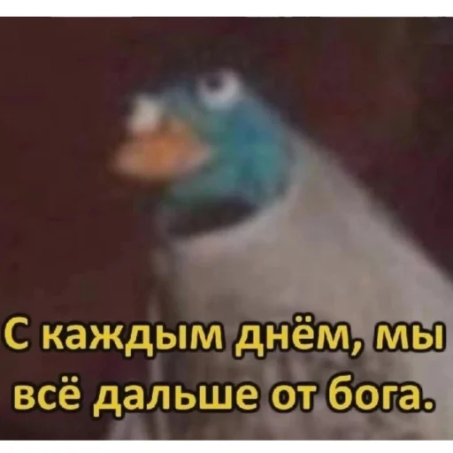 Стикер из набора Буквы кончились для Телеграм: Статические 🌚