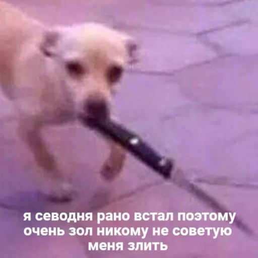 Стикер из набора Буквы кончились для Телеграм: Статические 🔪