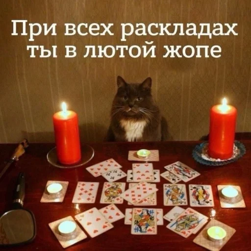 Стикер из набора Буквы кончились для Телеграм: Статические 😵