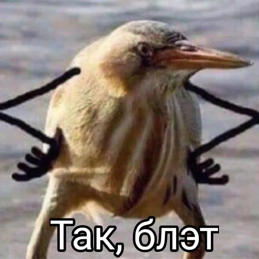Стикер из набора Буквы кончились для Телеграм: Статические 😠