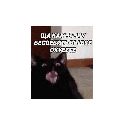 Стикер из набора Ржачные животные для Телеграм: Статические 😆