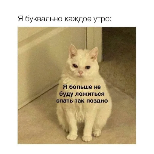 Стикер из набора Ржачные животные для Телеграм: Статические 😅