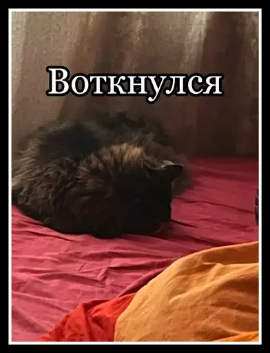 Стикер из набора 🥊 для Телеграм: Статические 😴