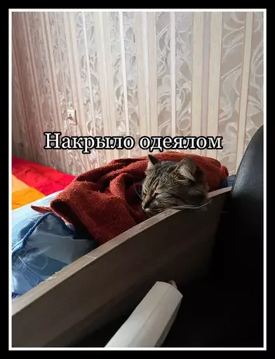 Стикер из набора 🥊 для Телеграм: Статические 😻