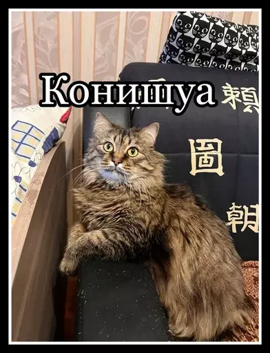 Стикер из набора 🥊 для Телеграм: Статические 👾