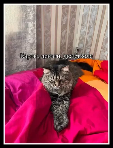 Стикер из набора 🥊 для Телеграм: Статические 🔫