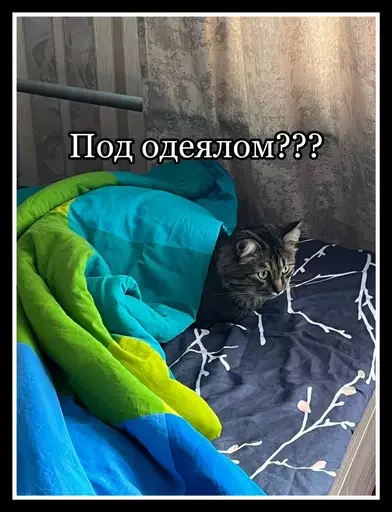 Стикер из набора 🥊 для Телеграм: Статические 😼