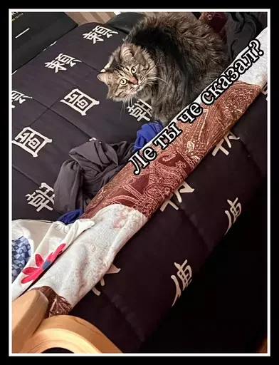 Стикер из набора 🥊 для Телеграм: Статические 😼