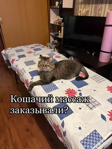 Стикер из набора 🥊 для Телеграм: Статические 💆♂️