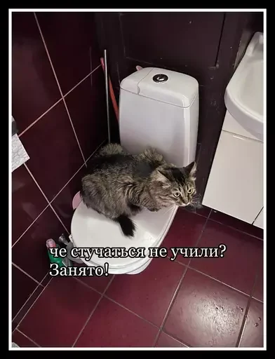 Стикер из набора 🥊 для Телеграм: Статические 🚽