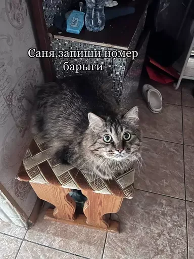 Стикер из набора 🥊 для Телеграм: Статические 😶🌫️