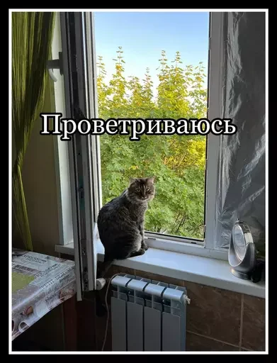 Стикер из набора 🥊 для Телеграм: Статические 😮💨