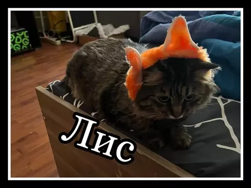 Стикер из набора 🥊 для Телеграм: Статические 🦊