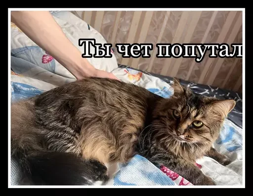 Стикер из набора 🥊 для Телеграм: Статические 🫤