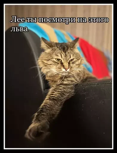 Стикер из набора 🥊 для Телеграм: Статические 🦁