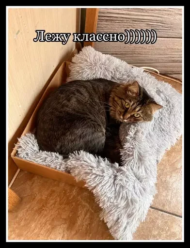Стикер из набора 🥊 для Телеграм: Статические 🧖♀️