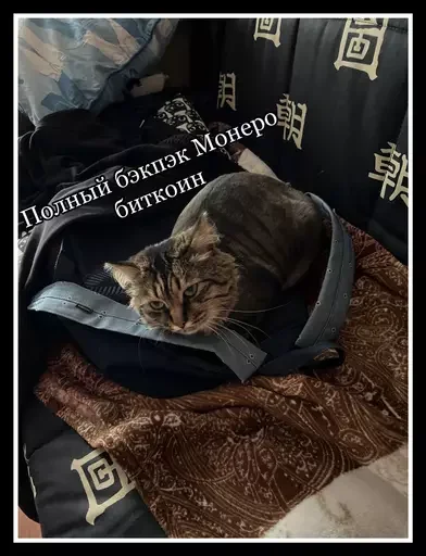 Стикер из набора 🥊 для Телеграм: Статические 🎒