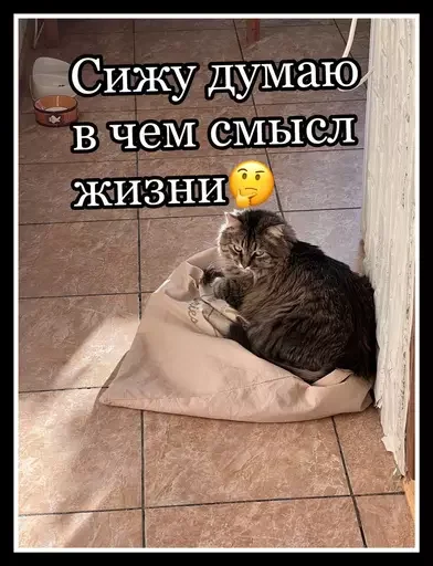 Стикер из набора 🥊 для Телеграм: Статические 🤔