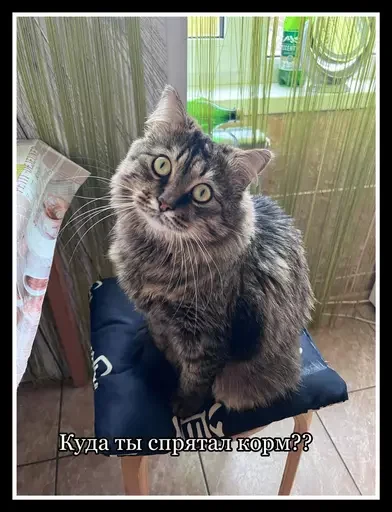 Стикер из набора 🥊 для Телеграм: Статические 🍱