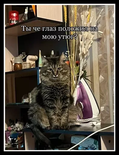 Стикер из набора 🥊 для Телеграм: Статические 🫠