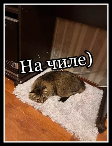 Стикер из набора 🥊 для Телеграм: Статические 🤗