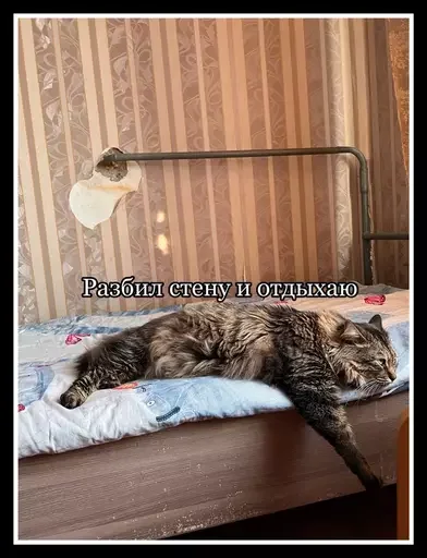 Стикер из набора 🥊 для Телеграм: Статические 🤪