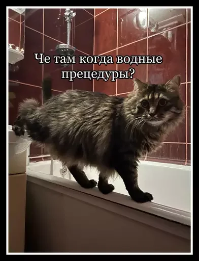 Стикер из набора 🥊 для Телеграм: Статические 🚿