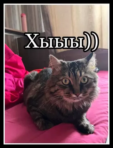 Стикер из набора 🥊 для Телеграм: Статические 🤡