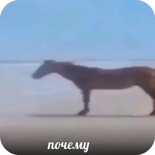 Стикер из набора нагиев🫦 для Телеграм: Статические 🧐