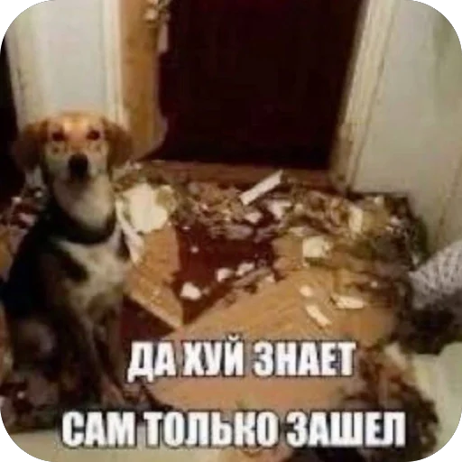 Стикер из набора нагиев🫦 для Телеграм: Статические 🤗