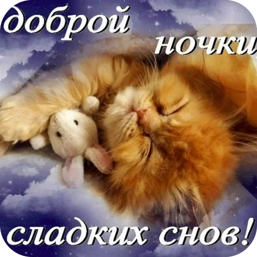 Стикер из набора нагиев🫦 для Телеграм: Статические 🥰