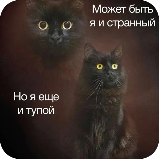 Стикер из набора нагиев🫦 для Телеграм: Статические 🥰