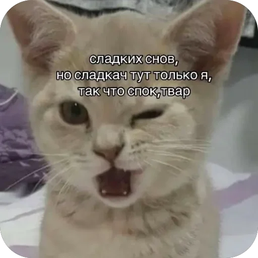 Стикер из набора нагиев🫦 для Телеграм: Статические 🥰