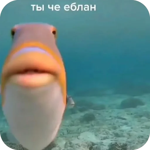 Стикер из набора нагиев🫦 для Телеграм: Статические 🔥