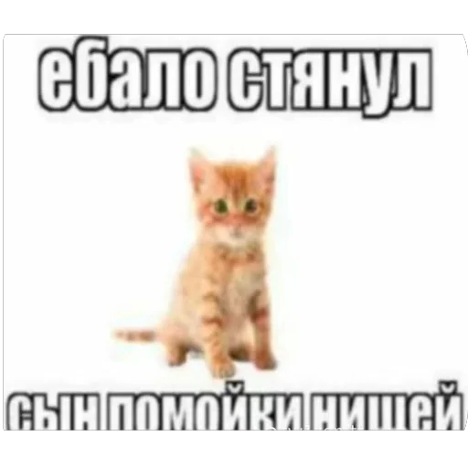 Стикер из набора нагиев🫦 для Телеграм: Статические 🫥