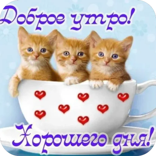 Стикер из набора нагиев🫦 для Телеграм: Статические 😴