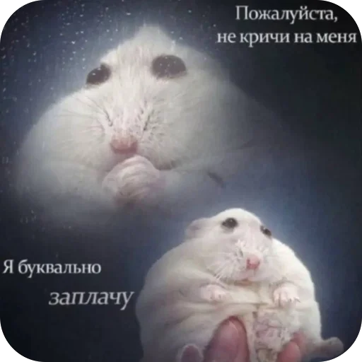 Стикер из набора нагиев🫦 для Телеграм: Статические 🥺