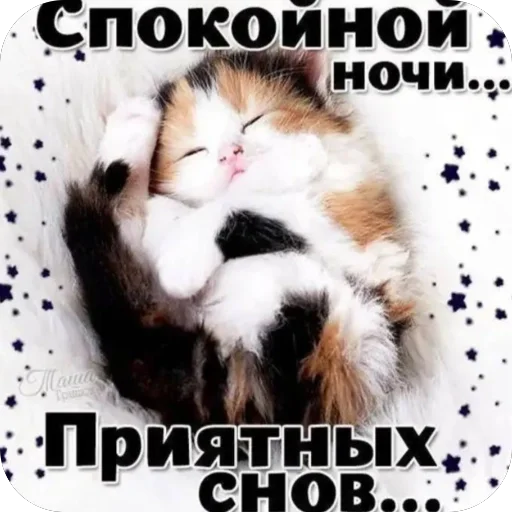 Стикер из набора нагиев🫦 для Телеграм: Статические 🥰