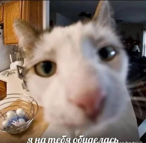 Стикер из набора нагиев🫦 для Телеграм: Статические 🌟