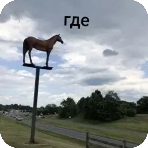 Стикер из набора нагиев🫦 для Телеграм: Статические ☁️