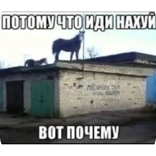 Стикер из набора нагиев🫦 для Телеграм: Статические 🔥
