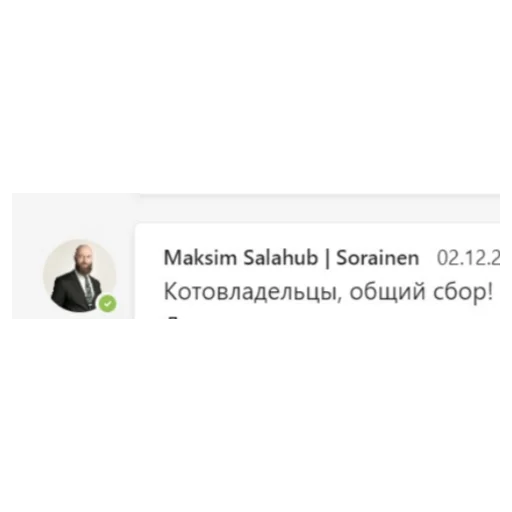 Стикер из набора Sorainen dudes для Телеграм: Статические 🐈