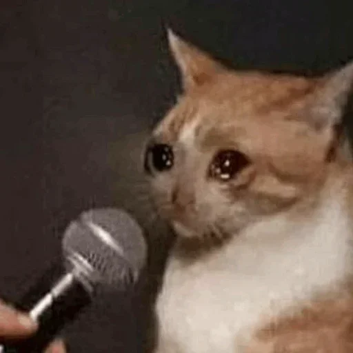 Стикер из набора Soumya_jit для Телеграм: Статические 🥺