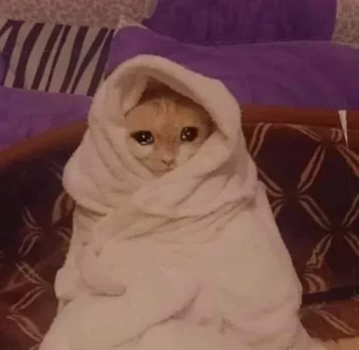 Стикер из набора Soumya_jit для Телеграм: Статические 😔
