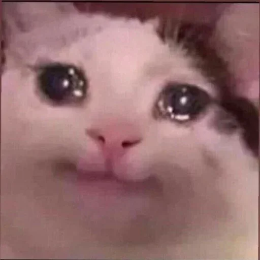 Стикер из набора Soumya_jit для Телеграм: Статические 🥺