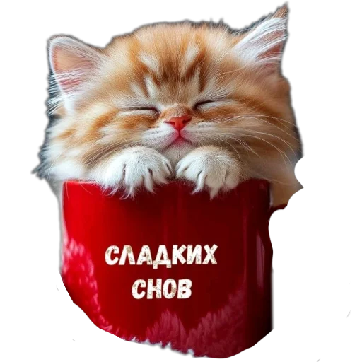 Стикер из набора Спокойной ночи для Телеграм: Статические 😴