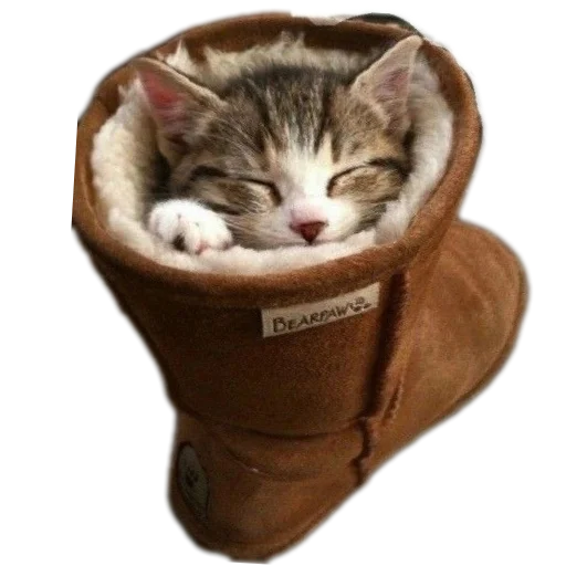 Стикер из набора Спокойной ночи для Телеграм: Статические 😴
