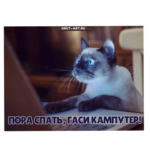 Стикер из набора Спокойной ночи для Телеграм: Статические 🥱