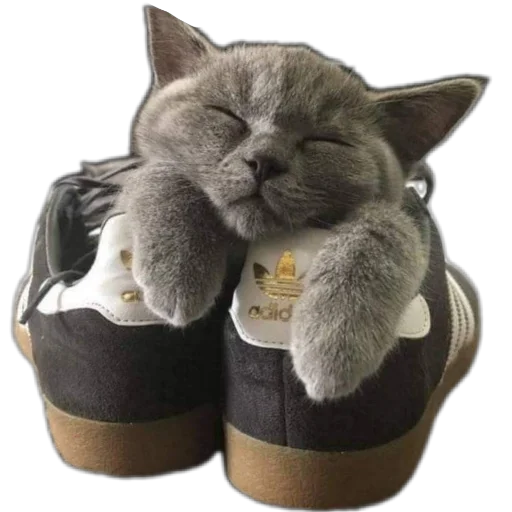 Стикер из набора Спокойной ночи для Телеграм: Статические 😴